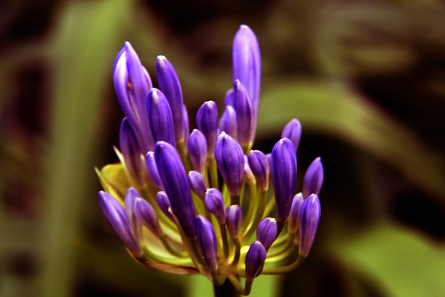 的表现尤为 的表现尤为