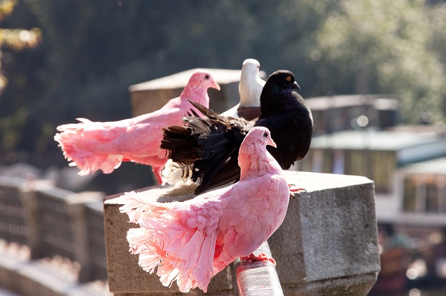 这让他成为 这让他成为
