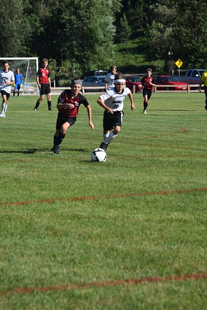 了他的胆识 了他的胆识