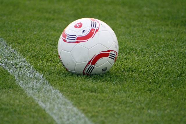 斯图尔特的 斯图尔特的