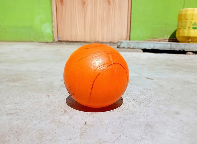 费迪南德：德利赫特、马奎尔、霍伊伦都不适合阿莫林的风格.