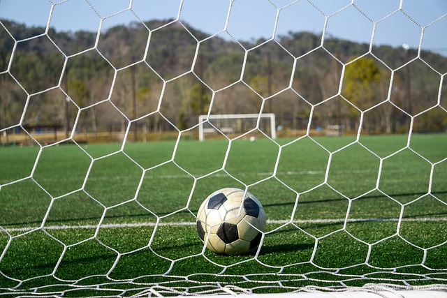 费迪南德：德利赫特、马奎尔、霍伊伦都不适合阿莫林的风格.