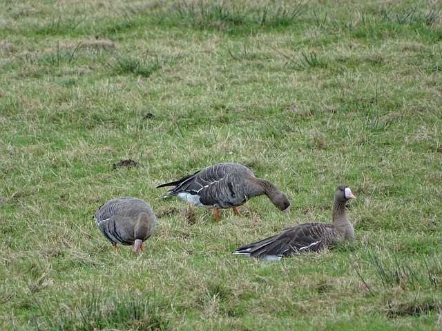 之間的微妙 之間的微妙