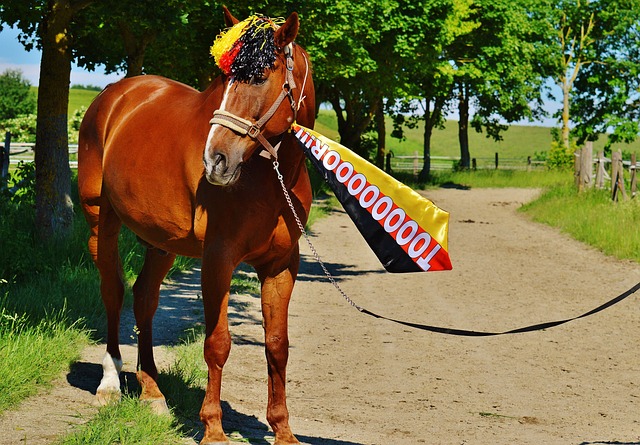 風和領袖氣 風和領袖氣