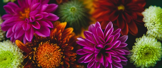 过转换进攻 过转换进攻